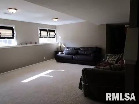203 Bittersweet Ave, Germantown Hills, IL 61548 photo 19