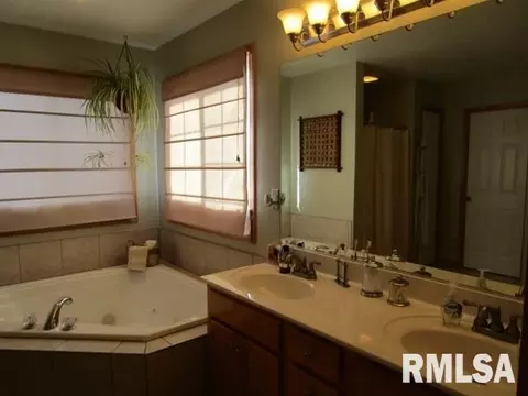203 Bittersweet Ave, Germantown Hills, IL 61548 photo 12