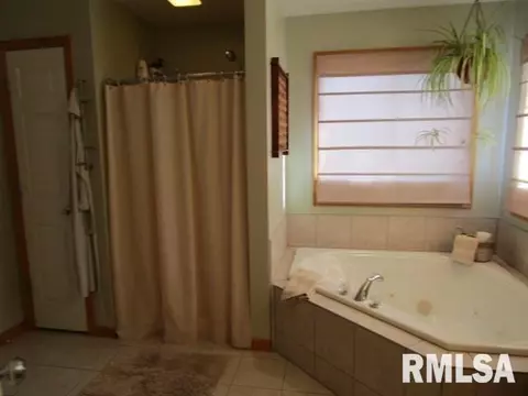203 Bittersweet Ave, Germantown Hills, IL 61548 photo 13