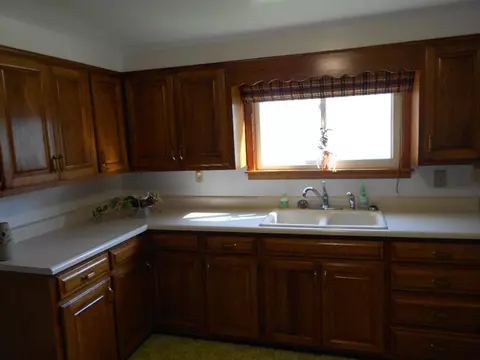 101 Pleasant St, Benson, IL 61516 photo 14