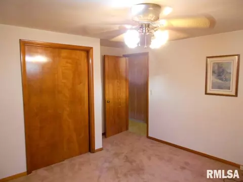 101 Pleasant St, Benson, IL 61516 photo 17