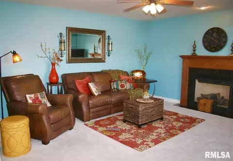 11014 N Crestpointe Ln, Dunlap, IL 61525 photo 19