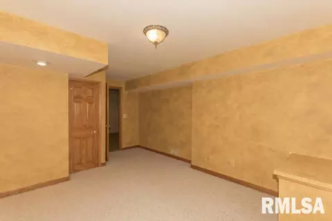 2330 W Murphy Dr, Dunlap, IL 61525 photo 33