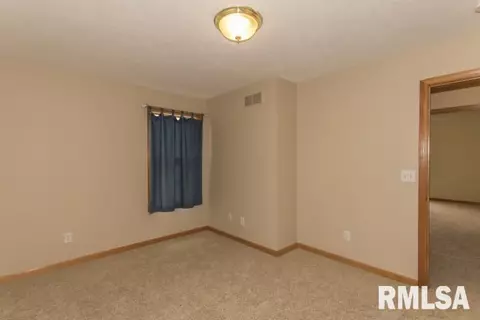 2330 W Murphy Dr, Dunlap, IL 61525 photo 21