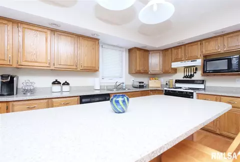 401 N Linn St, Benson, IL 61516 photo 14