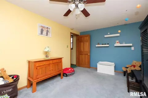 401 N Linn St, Benson, IL 61516 photo 25