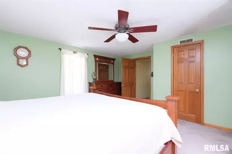 401 N Linn St, Benson, IL 61516 photo 29