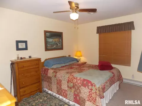 1005 S Main St, Canton, IL 61520 photo 15