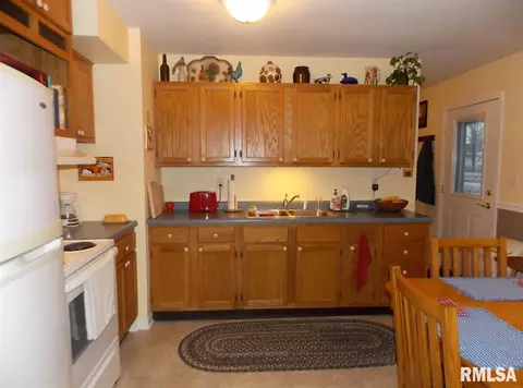 1005 S Main St, Canton, IL 61520 photo 10