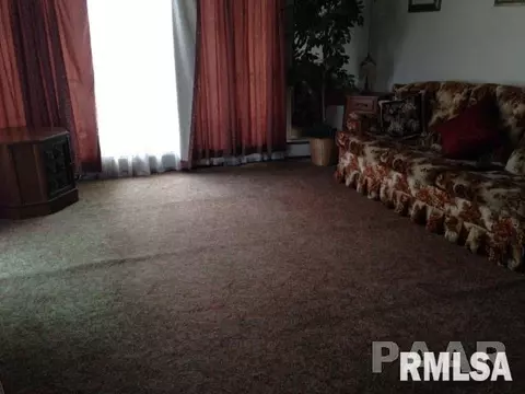 629 8th St, Saint David, IL 61563 photo 7