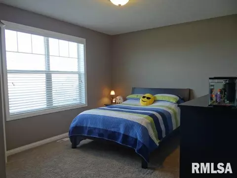 3807 W Thistle Ln, Dunlap, IL 61525 photo 21