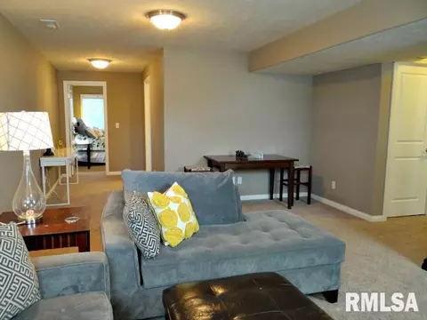 3807 W Thistle Ln, Dunlap, IL 61525 photo 26