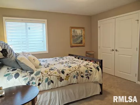 3807 W Thistle Ln, Dunlap, IL 61525 photo 27
