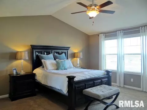 3807 W Thistle Ln, Dunlap, IL 61525 photo 15