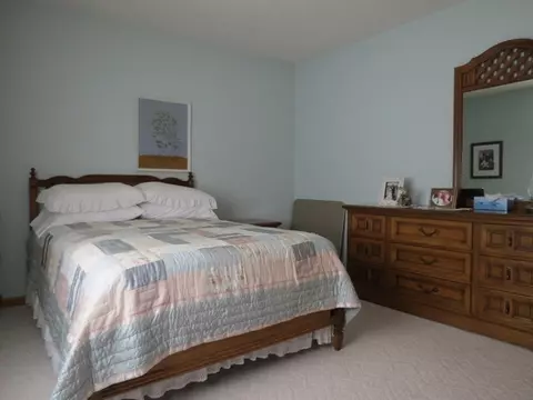 6805 S Saddlebrook Dr, Mapleton, IL 61547 photo 23