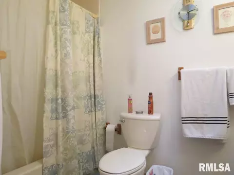 6805 S Saddlebrook Dr, Mapleton, IL 61547 photo 20