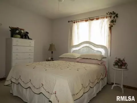 6805 S Saddlebrook Dr, Mapleton, IL 61547 photo 24