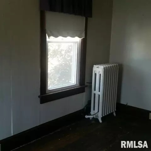 251 E Main St, Ipava, IL 61441 photo 19