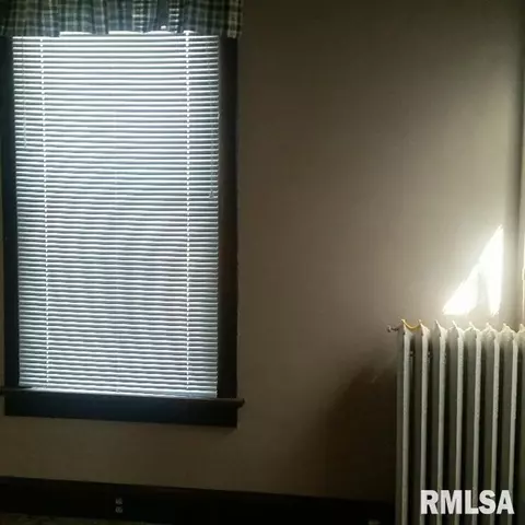 251 E Main St, Ipava, IL 61441 photo 22
