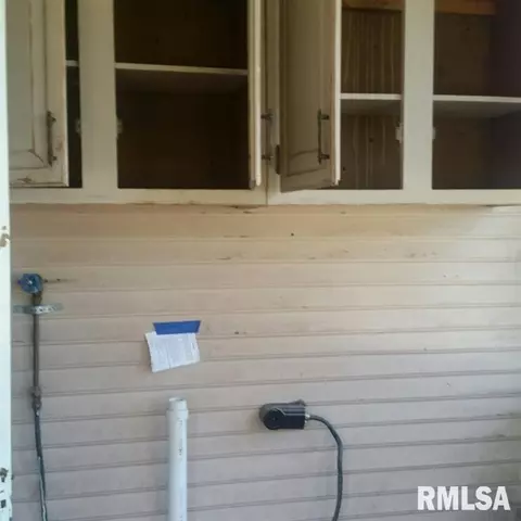 251 E Main St, Ipava, IL 61441 photo 26
