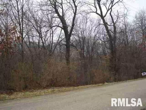 416 E Miller Rd, Edelstein, IL 61526 photo 3