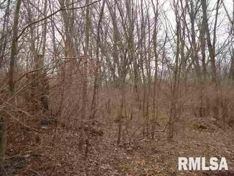 416 E Miller Rd, Edelstein, IL 61526 photo 1
