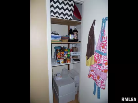 320 E Chatham St, Metamora, IL 61548 photo 14