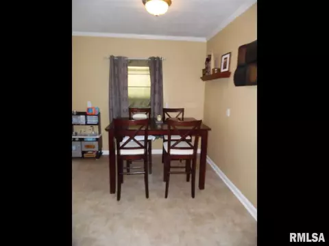 320 E Chatham St, Metamora, IL 61548 photo 10