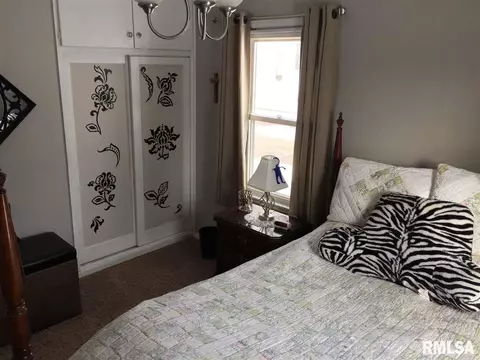 312 Court, Washington, IL 61571 photo 18