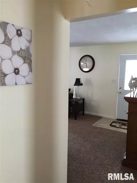 312 Court, Washington, IL 61571 photo 19