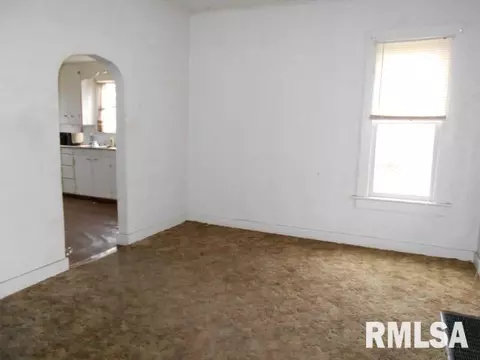 447 N 9th, Canton, IL 61520 photo 8