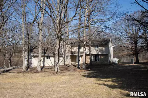307 E Lakeshore Dr, Edelstein, IL 61526 photo 1