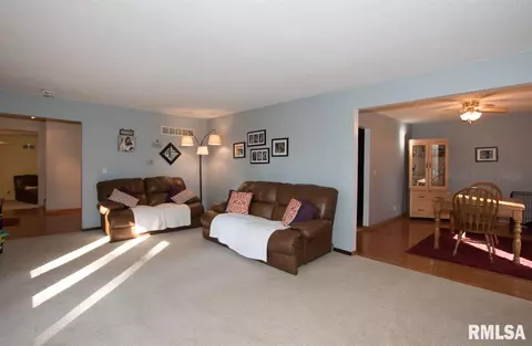 307 E Lakeshore Dr, Edelstein, IL 61526 photo 9