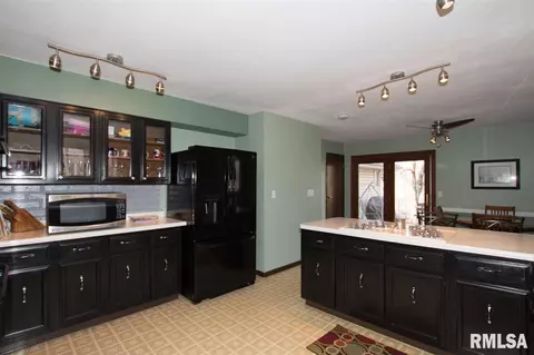 307 E Lakeshore Dr, Edelstein, IL 61526 photo 4