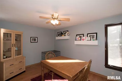 307 E Lakeshore Dr, Edelstein, IL 61526 photo 7