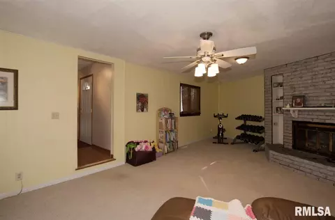 307 E Lakeshore Dr, Edelstein, IL 61526 photo 13