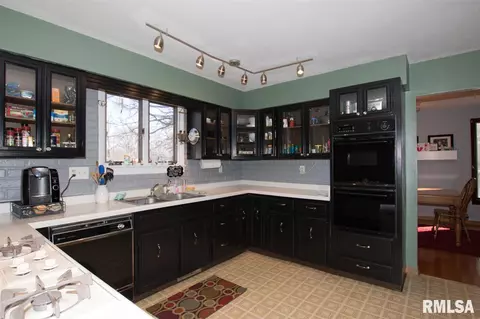 307 E Lakeshore Dr, Edelstein, IL 61526 photo 2