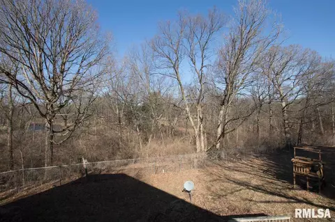 307 E Lakeshore Dr, Edelstein, IL 61526 photo 31