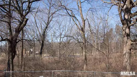 307 E Lakeshore Dr, Edelstein, IL 61526 photo 32