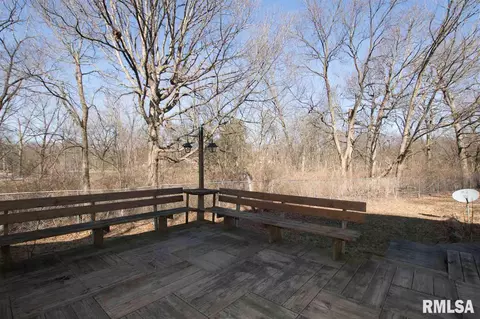 307 E Lakeshore Dr, Edelstein, IL 61526 photo 30