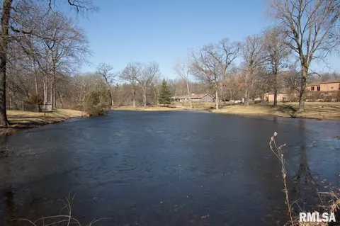 307 E Lakeshore Dr, Edelstein, IL 61526 photo 33