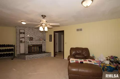 307 E Lakeshore Dr, Edelstein, IL 61526 photo 11