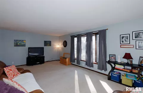 307 E Lakeshore Dr, Edelstein, IL 61526 photo 10