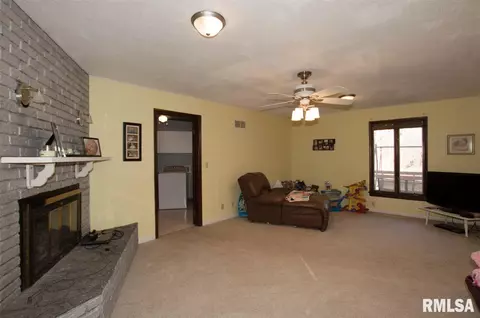 307 E Lakeshore Dr, Edelstein, IL 61526 photo 12