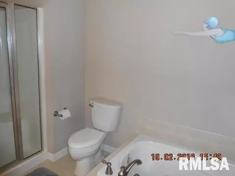 1111 Eaglet Ct, Lacon, IL 61540 photo 16