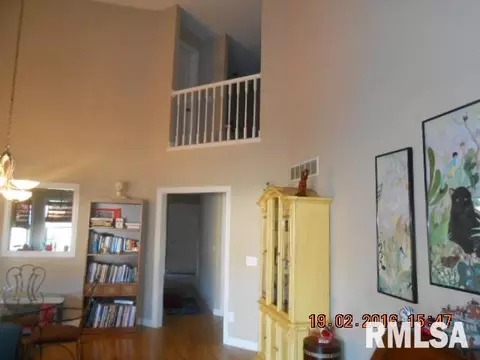 1111 Eaglet Ct, Lacon, IL 61540 photo 3