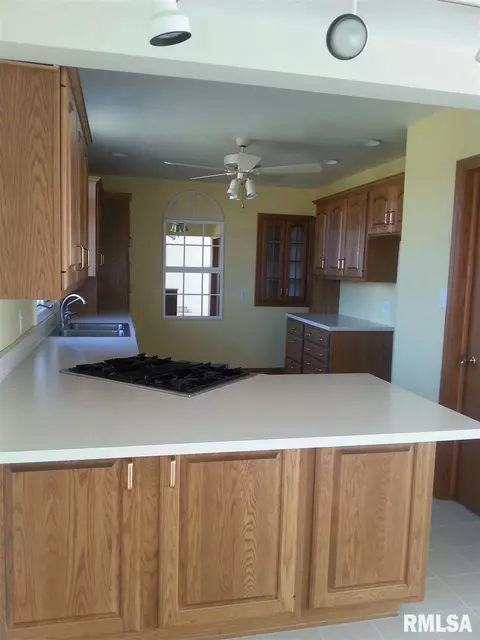 204 S Main St, Roanoke, IL 61561 photo 8