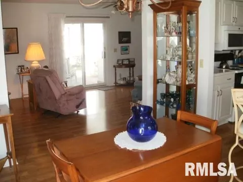 1145 E Ash, Canton, IL 61520 photo 27