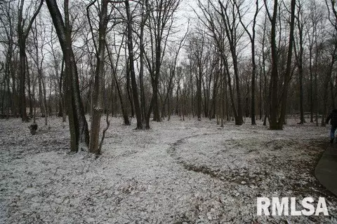 4635 Minier Rd, Armington, IL 61721 photo 28