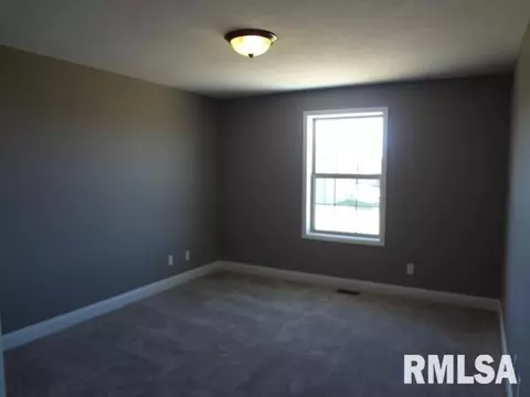 11233 N Onyx Ln, Dunlap, IL 61525 photo 20